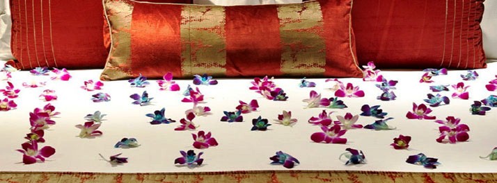 449/Radisson Blu Hotel - Ghaziabad 12.jpg